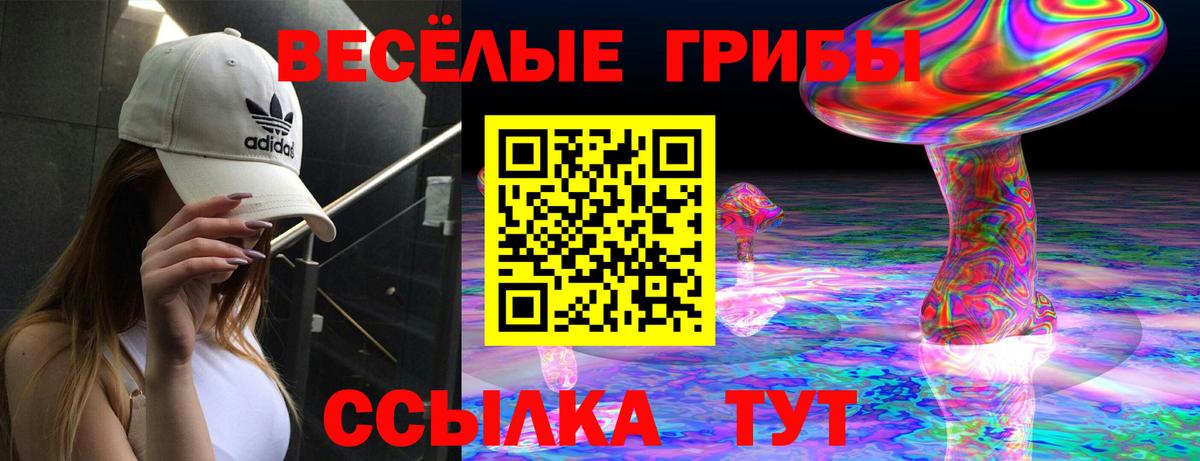 Псилоцибиновые грибы мицелий  Вход с VPN  Иваново 